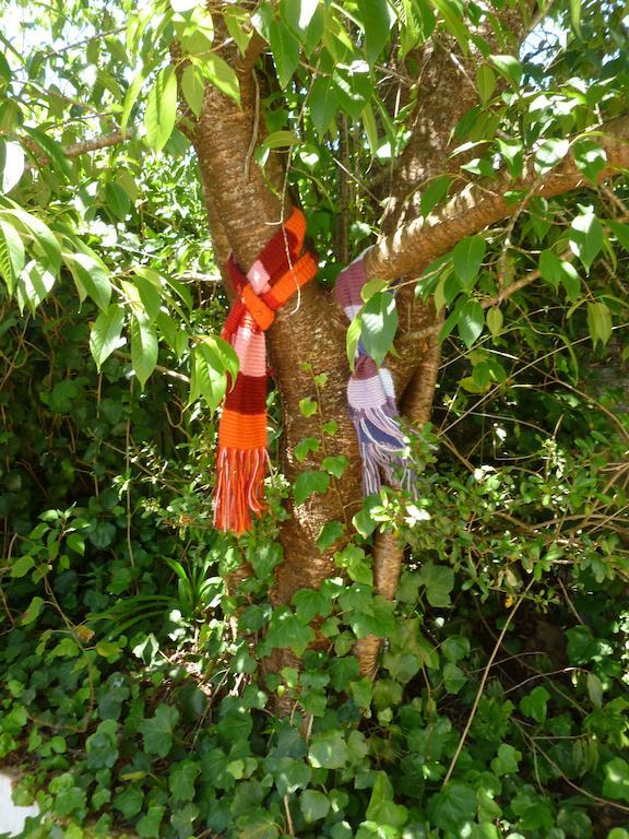 Pousada Dos Esquilos Campos do Jordao Ngoại thất bức ảnh